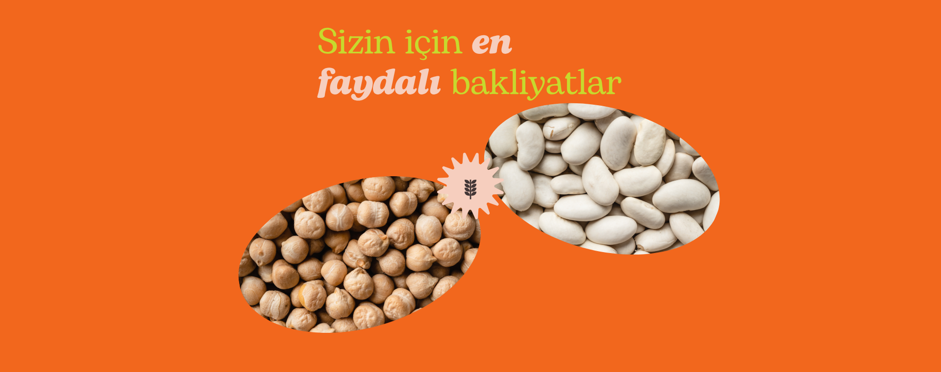 Sağlıklı Atıştırmalıklar