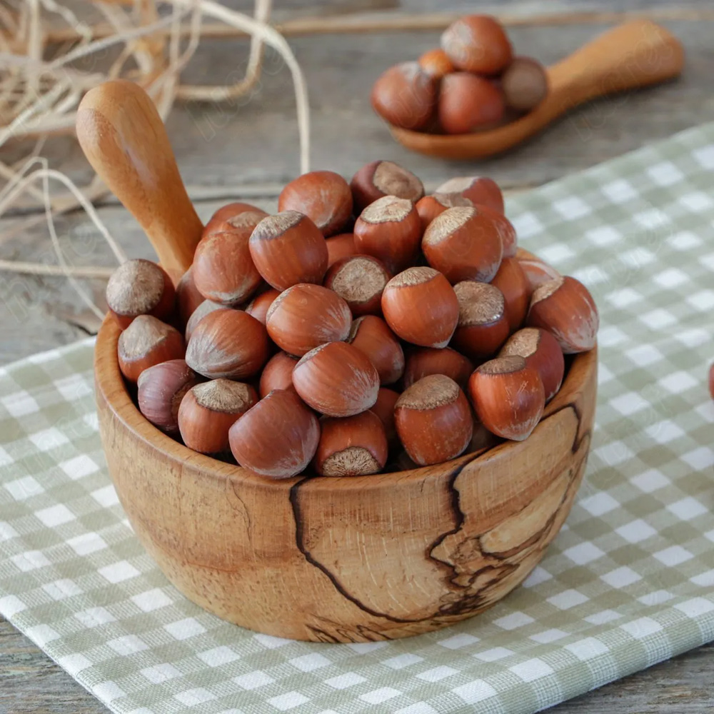 Kabuklu Fındık (Çiğ)